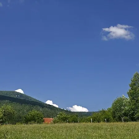 бойковец * Boykovets