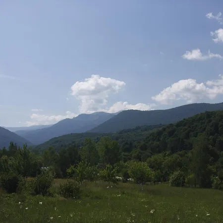 бойковец