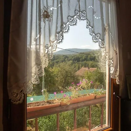 бойковец *