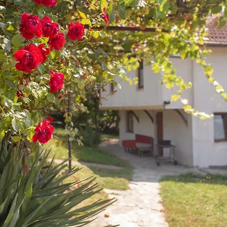 бойковец Boykovets